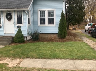 Leaf Removal by Walther MuΓ±oz for Joe T. in Milford, CT