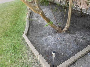 Weeding by Manuel Nunez for Rebecca P. in Spring, TX