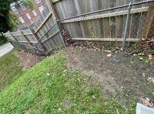 Leaf Removal by Fidel Rodriguez for Norbert K. in Washington, DC