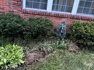 Leaf Removal by Kasandra Velasco for Johnae W. in Louisville, KY