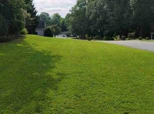 Tilfas P.'s Lawn Service service result
