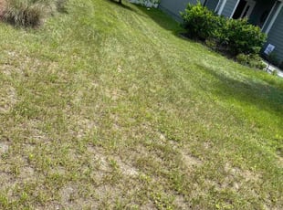Cleanups by Roberto Dieuveut for Leslie P. in Green Cove Springs, FL