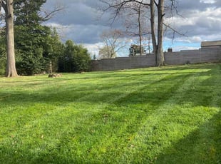 Carlin E.'s Lawn Mowing service result