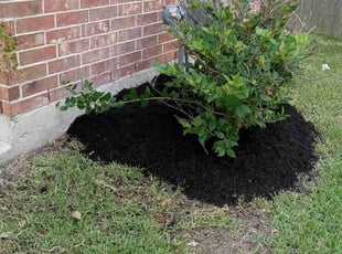 Mulching by Alexis Perez for Sumanth P. in Cypress, TX