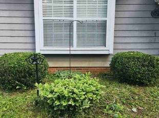 Bush Trimming by Isaiah Cuthbertson for Jill B. in Matthews, NC