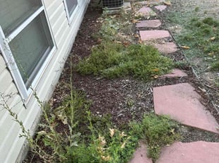 Cleanups by Justin Hands for Home M. in Centennial, CO