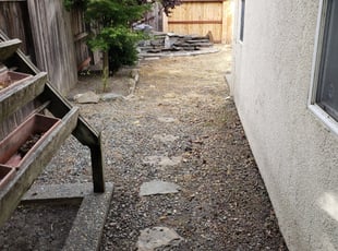 Leaf Removal by Loyce Singleton for Alicia S. in Stockton, CA