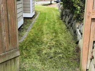 David R.'s Lawn Mowing service result