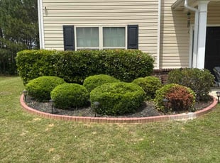 Bush Trimming by William Perry for P. in Dallas, GA
