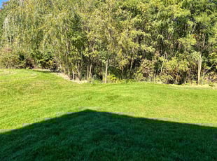 Gerard J.'s Lawn Service service result