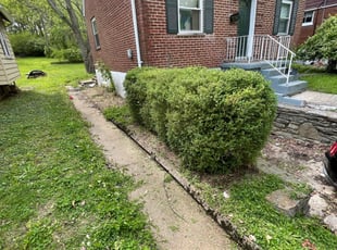Bush Trimming by Ted Ostavitz for Celia S. in Cincinnati, OH