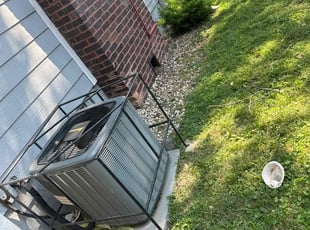 Weeding by Luis Contreras for Elisabeth W. in Indianapolis, IN