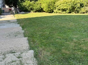 Victor P.'s Yard Cutting service result