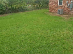 Ladonna C.'s Lawn Mowing service result