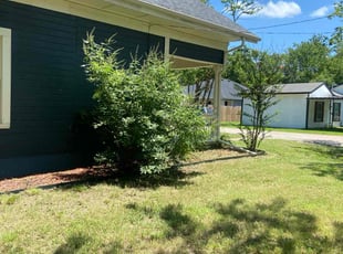 Cleanups by RamΓ³n Chepetla for Bettina S. in Campbell, TX