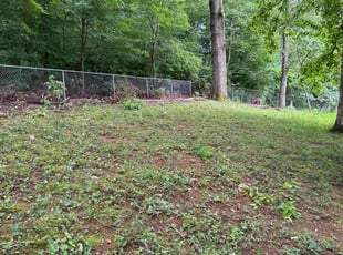 Cleanups by Jon Bukolsky for Christopher M. in Knoxville, TN