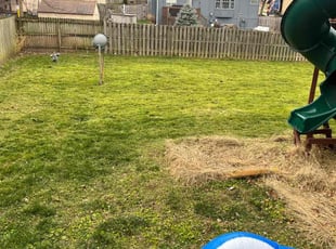 Leaf Removal by Shannon Strong for Elias T. in Olathe, KS
