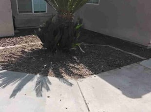 Cleanups by Daisy Guillen-Ramos for Jay T. in Bakersfield, CA