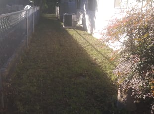 Leaf Removal by Guy Torres for Kathie B. in Austin, TX