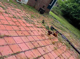 Weeding by Cortez Miller for Gaurav S. in Charlotte, NC