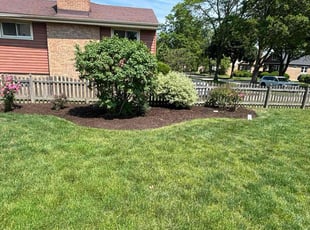 Weeding by Cesar Flores for Nicholas T. in Downers Grove, IL