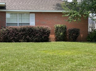 Bush Trimming by Kelly Arndt for Anthony K. in Pensacola, FL
