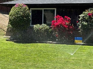 Bush Trimming by Omar Meza for Stephanie S. in Riverside, CA