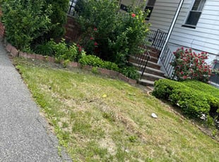 Bush Trimming by Erick Mendez Perez for Kerven J. in City of Orange, NJ