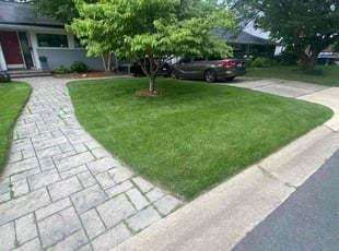 Jason H.'s Lawn Care service result