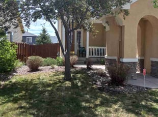 Bush Trimming by Mike Kipp for S Leigh B. in Peyton, CO