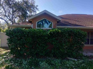 Bush Trimming by Sharon and Renee Simoneaux for Justin U. in Leesburg, FL