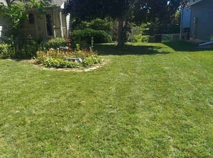 Deborah M.'s Lawn Mowing Service service result