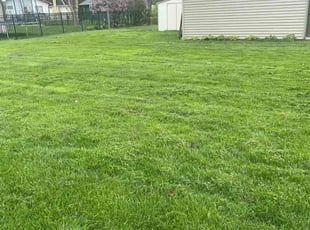 Charlie G.'s Lawn Maintenance service result