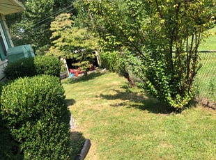 Cleanups by Davaraus Head for Sharon J. in Raytown, MO