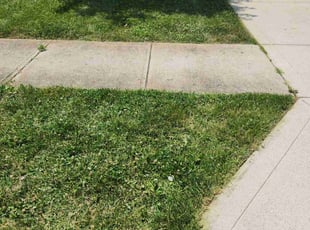 Brynn E.'s Lawn Mowing service result