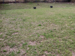 Leaf Removal by Steven Britton for Jean R. in Summerville, SC