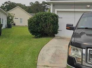 Bush Trimming by Joseph Durgin for Travis M. in North Charleston, SC