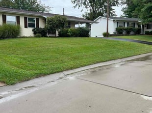 David B.'s Yard Cutting service result