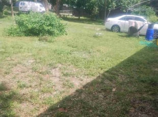 Landscaping by Frank Furia for Lucille W. in West Palm Beach, FL