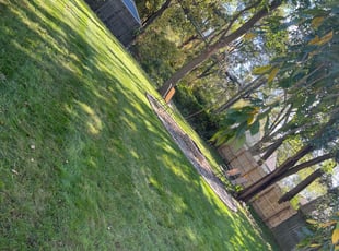 Leaf Removal by Carnell Garrett for Ron H. in Waterford Township, MI