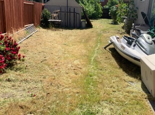 Leaf Removal by Jonathan Allen for Katherine A. in Sacramento, CA