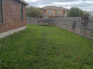 Justina U.'s Yard Cutting service result