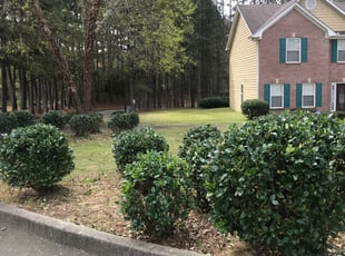 Bush Trimming by Michael Hannan for Brandon C. in Atlanta, GA