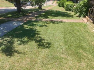 JeNeen R.'s Lawn Care service result