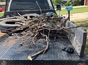 Cleanups by Cesar Zuniga for Annie R. in Yukon, OK