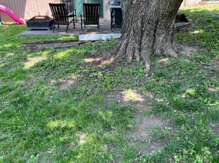 Cleanups by Charles Jones for Glenda W. in Independence, MO