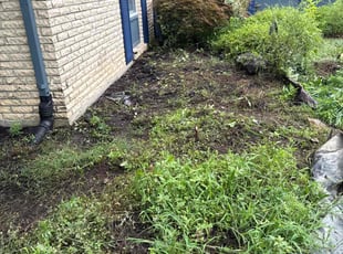 Weeding by Steven Green for Beverly S. in Dayton, OH