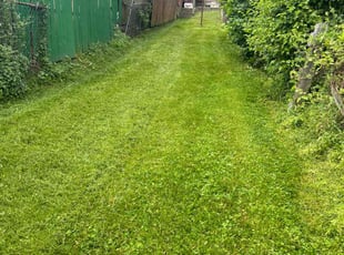 Damaris M.'s Lawn Service service result