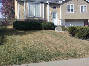 Bush Trimming by Tim Birch for Robert L. in Omaha, NE