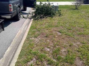 Bush Trimming by Sean Hearndon for Mary W. in Jacksonville, FL